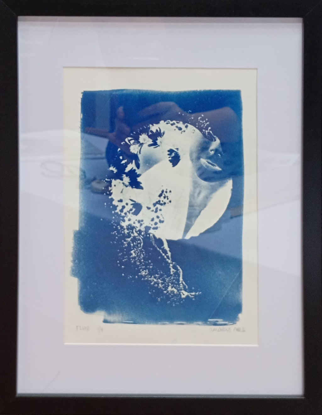 Fluid A4