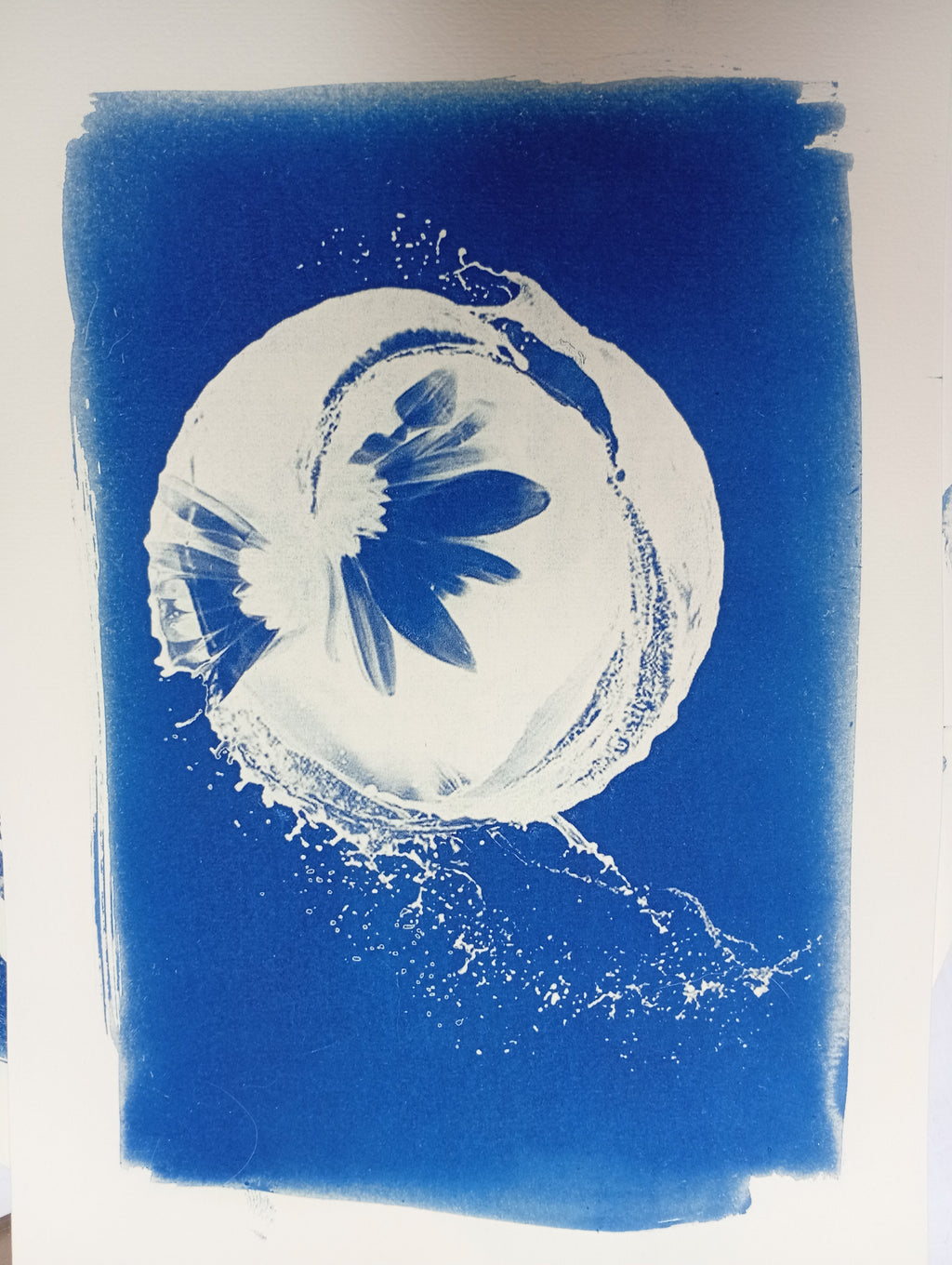 Fluid A5